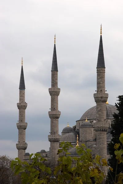 Drie minaretten van de Blauwe Moskee, Istanbul, Turkije — Stockfoto