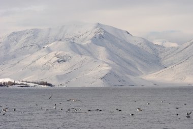 Snowy shore of Van Lake, Eastern Turkey clipart