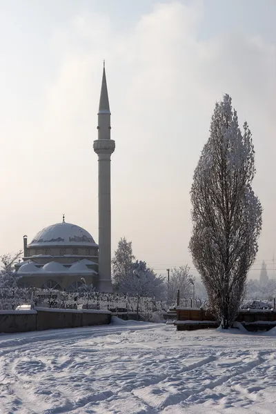 Mosquée et peuplier en hiver, Erzurum, Turquie — Photo