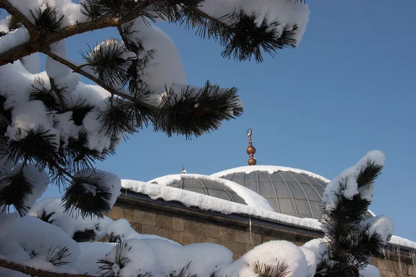 stock image Lala Mustafa Pasha Mosque after a snowfall, Erzurum, Turkey