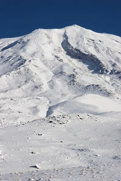 Zdjęcie z bliska góry Ararat zimą, Turcja — Zdjęcie stockowe