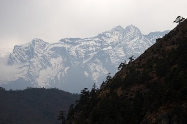 Trees at steep slope and snow mountain, Everest trek, Himalayas, Nepal clipart