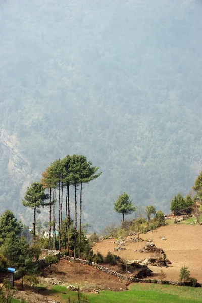 Everest trail landschap bij Lukla, Himalaya, Nepal — Stockfoto