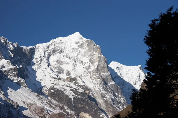 Ağaç ve kar dağı uçurumu, Himalaya, Nepal — Stok fotoğraf