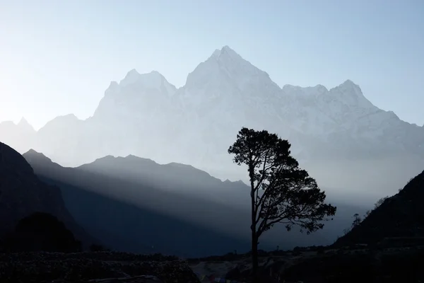 Silhueta de árvore solitária ao nascer do sol, Himalaias, Nepal — Fotografia de Stock