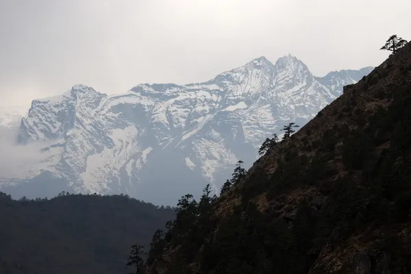 Stromy na strmém svahu a sněhové hory, Everest trek, Himaláje, Nepál — Stock fotografie