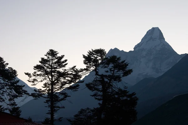 尼泊尔珠穆朗玛峰小径日出时分与Ama Dablam山的树木轮廓 — 图库照片