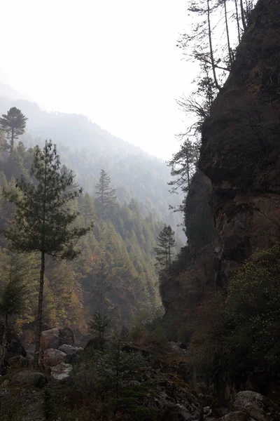 Głęboki wąwóz z poranną mgłą, szlak Everestu, Himalaje, Nepal — Zdjęcie stockowe