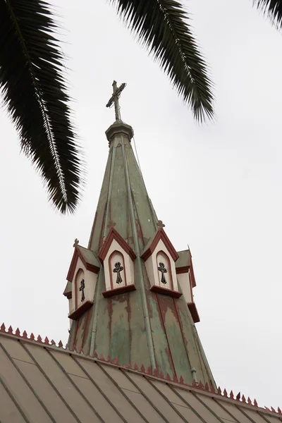 Chiesa cattolica e foglie di palma — Foto Stock