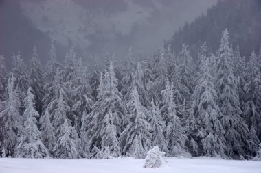 Winter fairy forest under a snowfall clipart