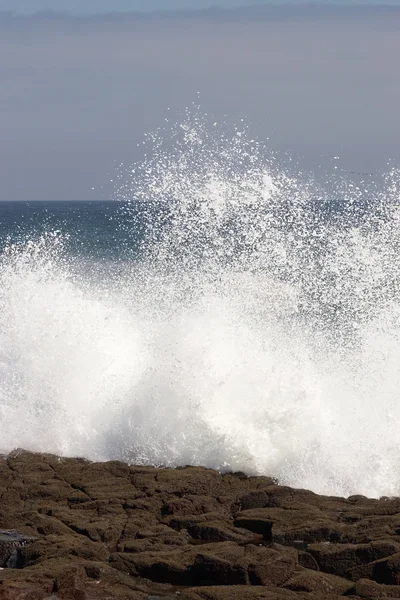 Vlna proti pobřeží — Stock fotografie