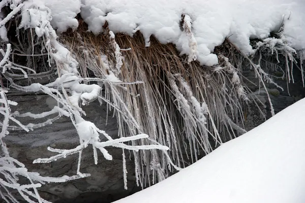 Boulder et herbe sèche recouverts de neige — Photo