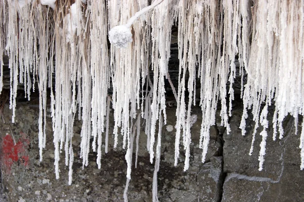 Frost covered grass hanging from a stone — Stock Photo, Image