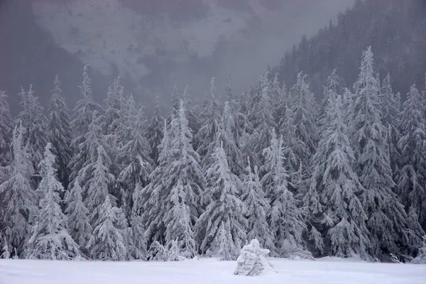 Wintermärchenwald unter Schneefall — Stockfoto