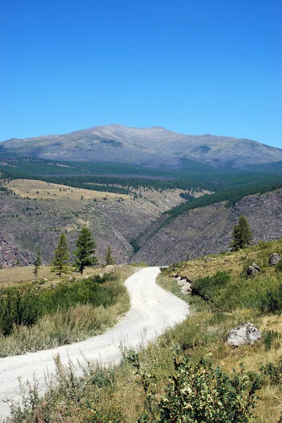 Дорога в горы — стоковое фото