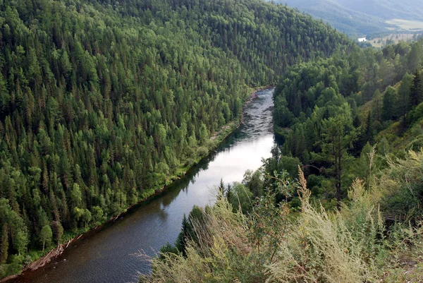 Река посреди леса — стоковое фото