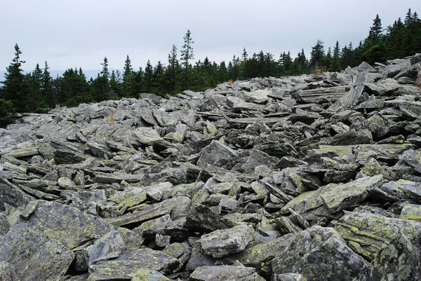 Камни на склоне холма — стоковое фото