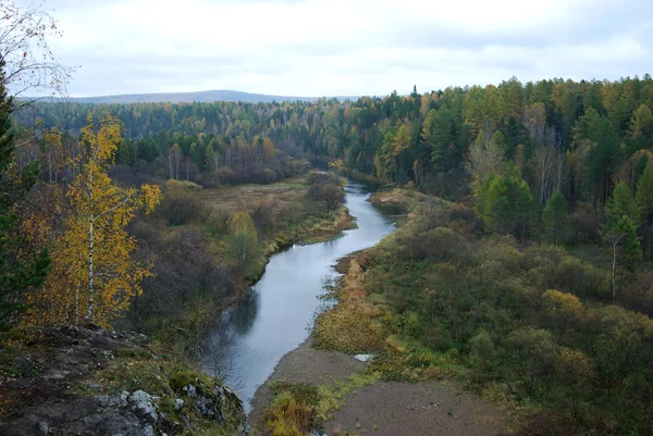Río en medio del bosque — Foto de Stock