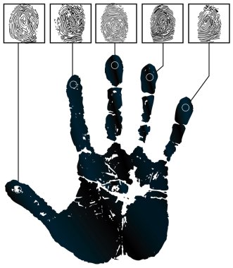 Fingers clipart