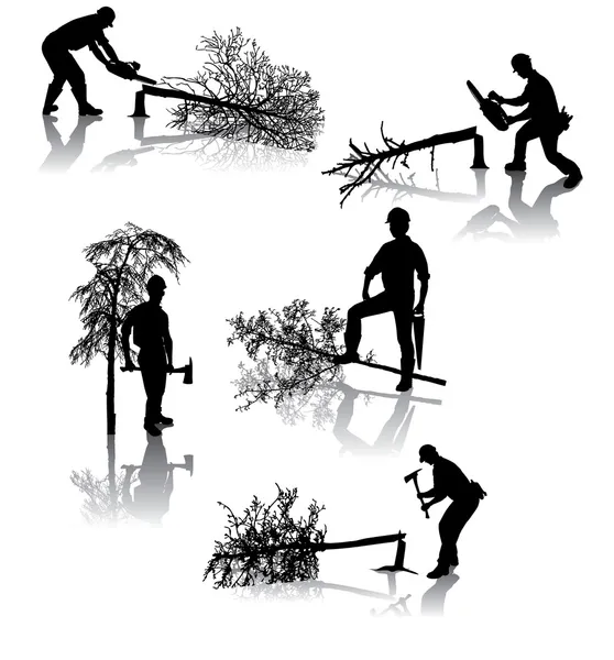 林业工人 — 图库矢量图片