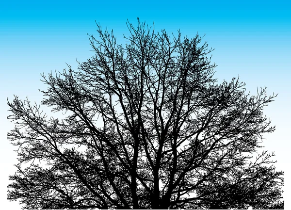 Grande albero — Vettoriale Stock