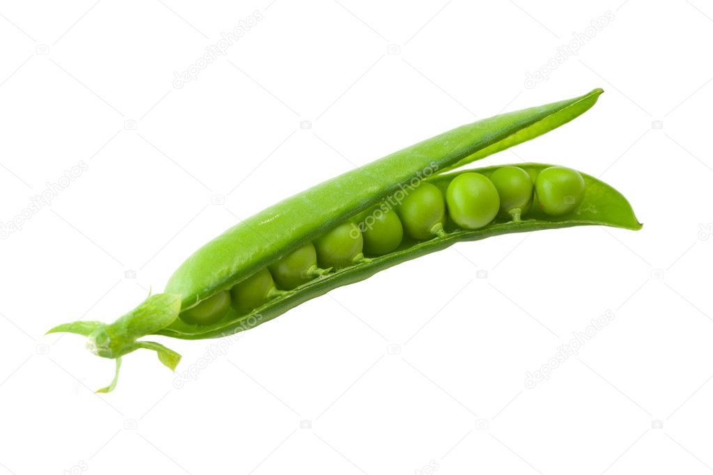 Green peas pods