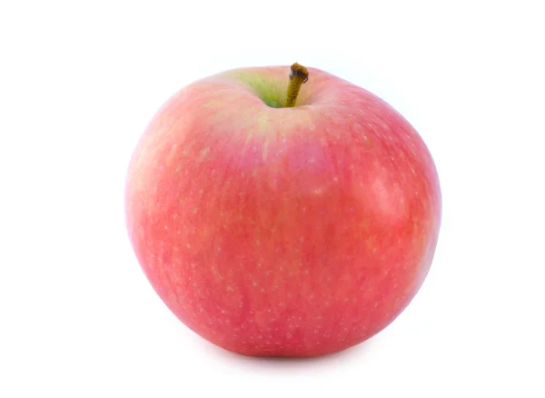 Niektóre dojrzałe, soczyste jabłka — Zdjęcie stockowe