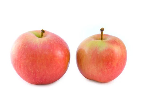 Δύο ώριμα ζουμερά μήλα — Φωτογραφία Αρχείου