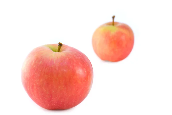 Dvě zralá šťavnatá jablka — Stock fotografie