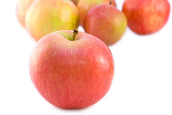 Niektóre dojrzałe, soczyste jabłka — Zdjęcie stockowe