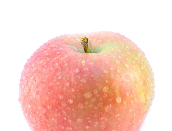 Enkele rijpe sappige appel met waterdruppels — Stockfoto