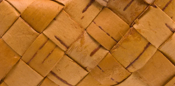Corteccia di betulla — Foto Stock