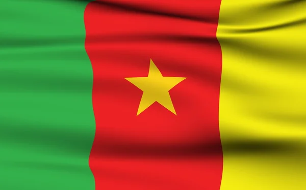 Cameroonian Flag — Stock Photo, Image
