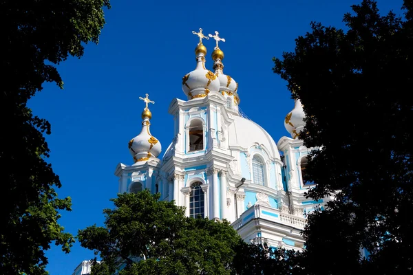 St Petersburg'da Smolny katedral. — Stok fotoğraf