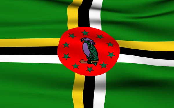 Dominicaanse vlag — Stockfoto