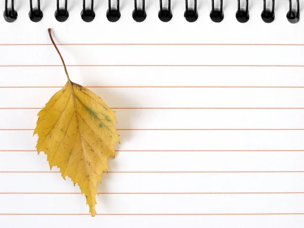 Notepad with yellow leaf — Stock Photo, Image
