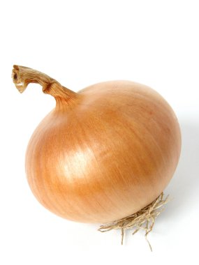 Onion clipart