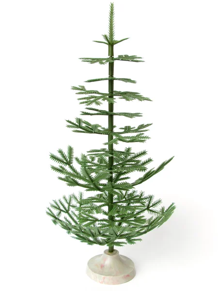 stock image Fir tree