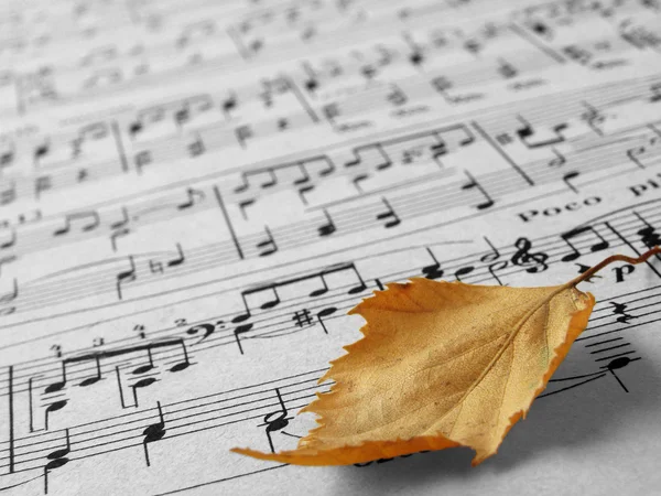 Осенняя мелодия — стоковое фото