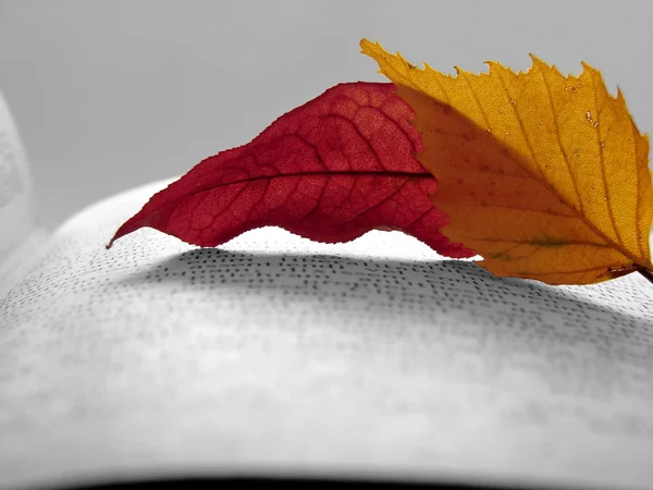 Herbstlektüre — Stockfoto