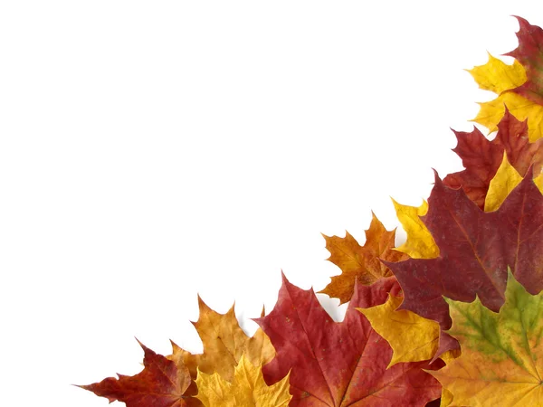 秋のデザイン要素 — ストック写真