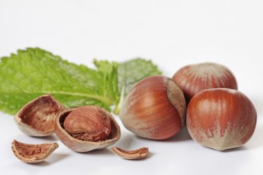 Hazelnuts clipart