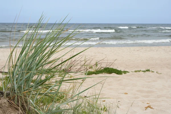 Krajobraz Morze Bałtyckie — Zdjęcie stockowe