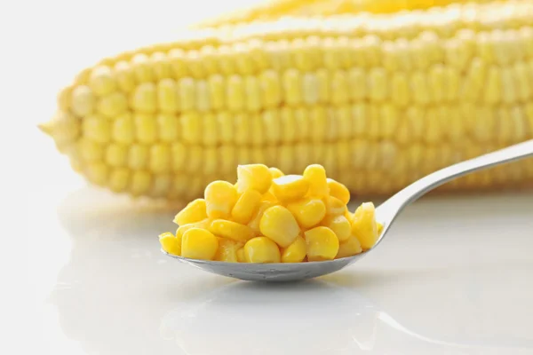 Conserved corn — Stock Photo, Image