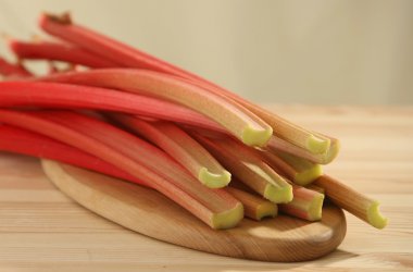 Fresh rhubarbs clipart