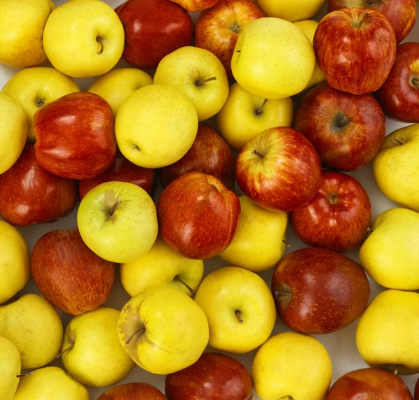 Manzanas rojas y amarillas — Foto de Stock