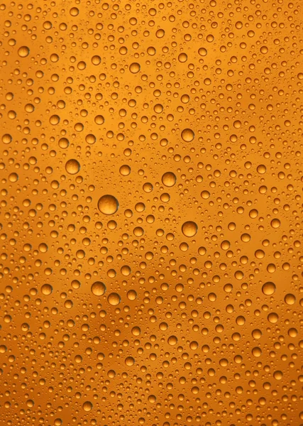 Beer macro — Stock Photo, Image