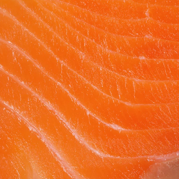 Salmon meat macro — стокове фото