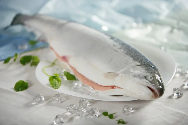 Čerstvého syrového lososa — Stock fotografie