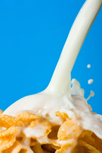 stock image Flakes with milk